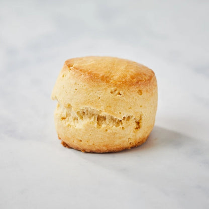 Plain Scone
