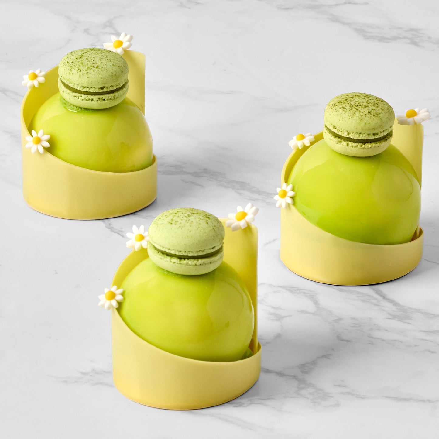 Citrus Garden