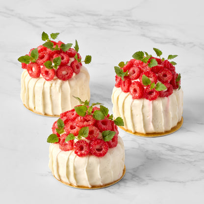 Raspberry Vanilla Entremet