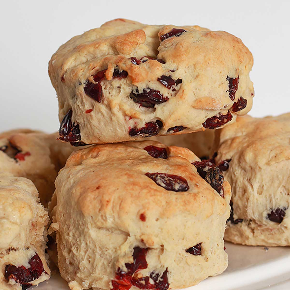 Cranberry Scone