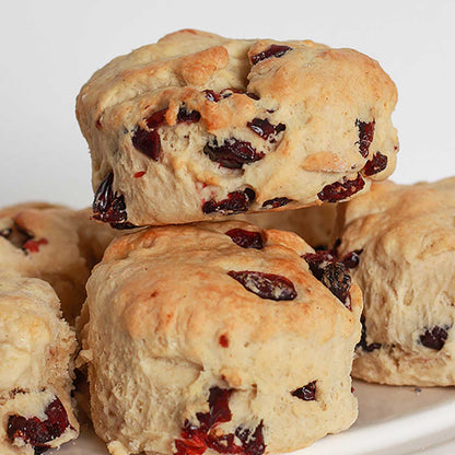 Cranberry Scone